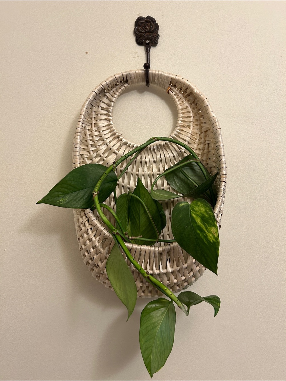 3 Woven Rattan Wall Baskets. A decor Trio with Natural White Finish